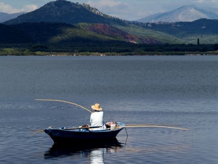 Η μνήμη του νερού