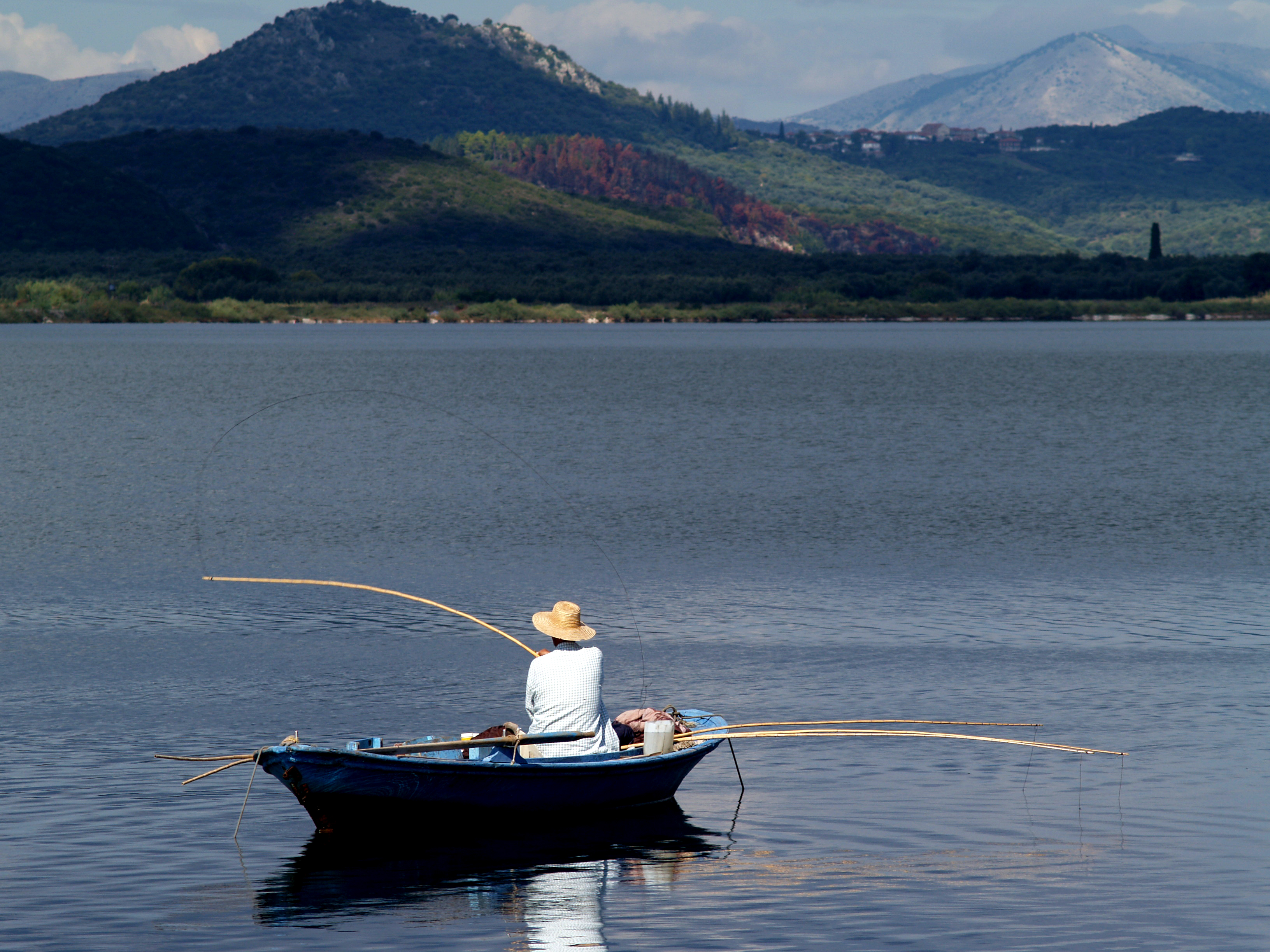 Η μνήμη του νερού