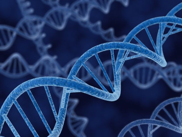 Τεχνική «copy-paste» τροποποιεί με ακρίβεια το DNA