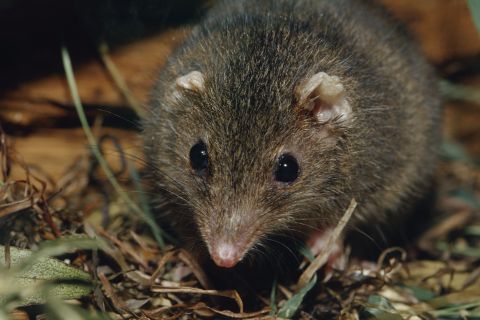 Σεξ μέχρι… τελικής πτώσης!