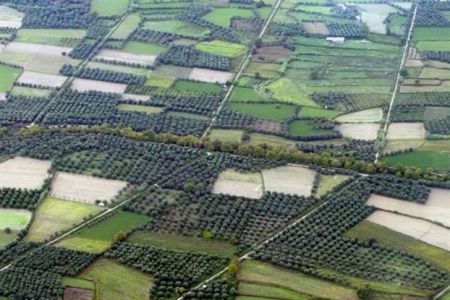 Ευρωβαρόμετρο: Υπέρ νέας Κοινής Γεωργικής Πολιτικής οι Ευρωπαίοι