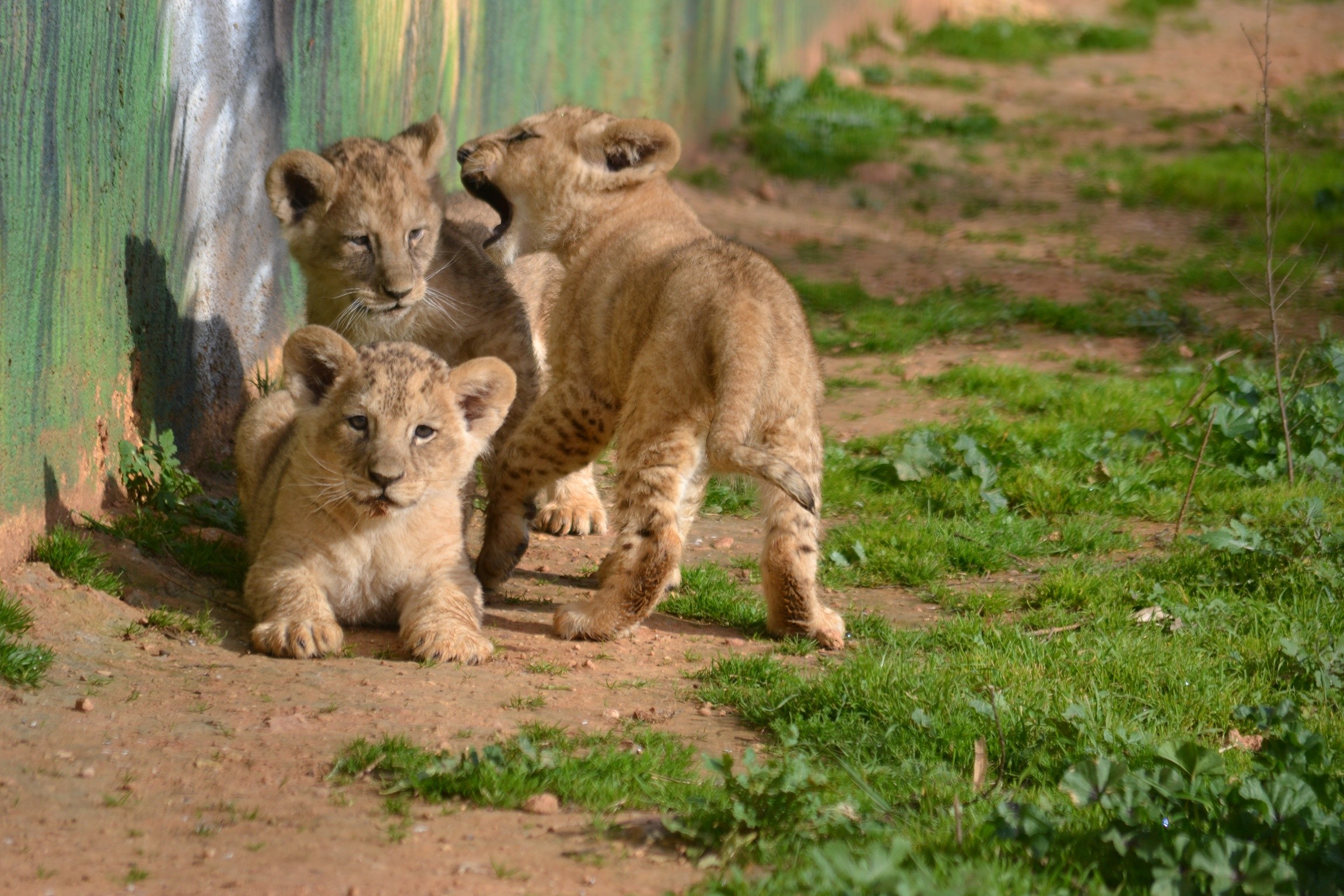 Οικογενειακές στιγμές