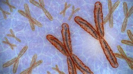 Το χρωμόσωμα Υ δεν συρρικνώνεται πια