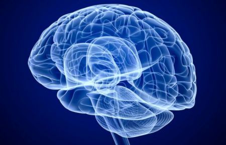Δημιούργησαν «διακόπτη» που… σβήνει τον εγκέφαλο