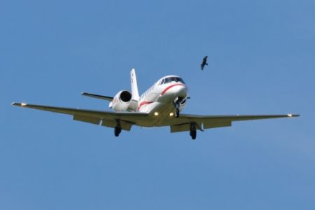 Χανιά: Αναγκαστική προσγείωση αεροσκάφους λόγω πουλιών στον κινητήρα