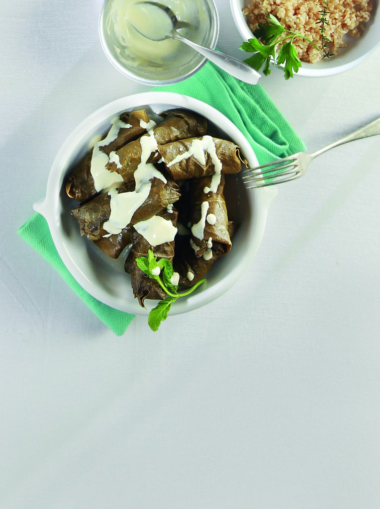 Ντολμάδες με κατσίκι και σάλτσα γιαουρτιού