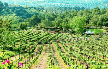 Ταξίδια με προορισμό τη γεύση