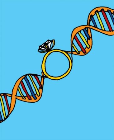 Ο γάμος βασίζεται στο… DNA