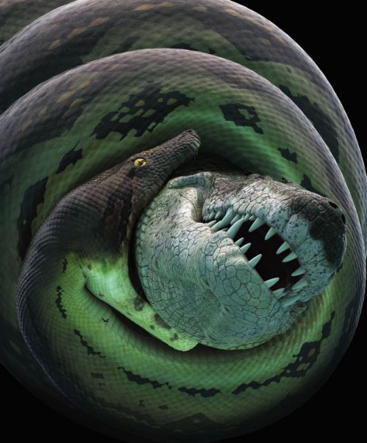 Η επική μάχη τιτανοβόα-Balrog