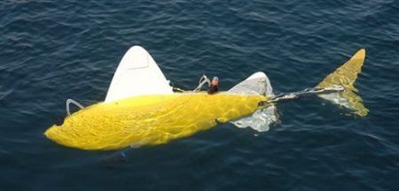 Ρομποτικό ψάρι «οσφραίνεται» τους ρύπους στο λιμάνι