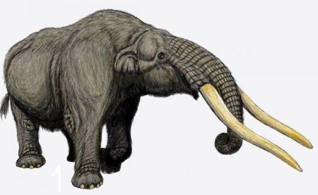 Αρχαίος ελέφαντας σε… πάρτι εργένηδων!