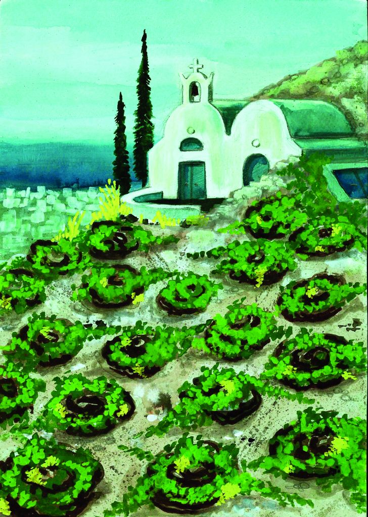 Ηφαιστειώδεις οίνοι