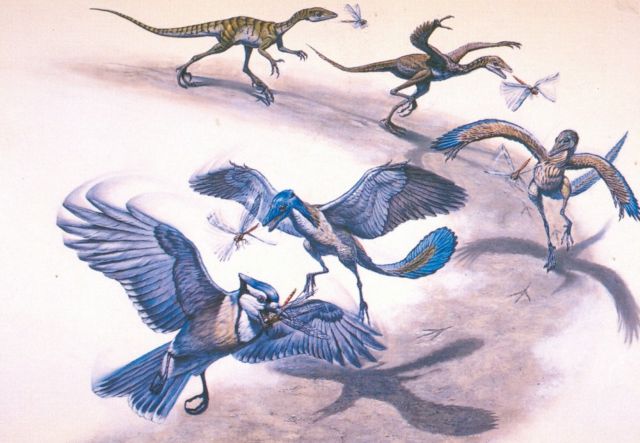 Πόσο χρειάστηκαν οι δεινόσαυροι να γίνουν πτηνά;