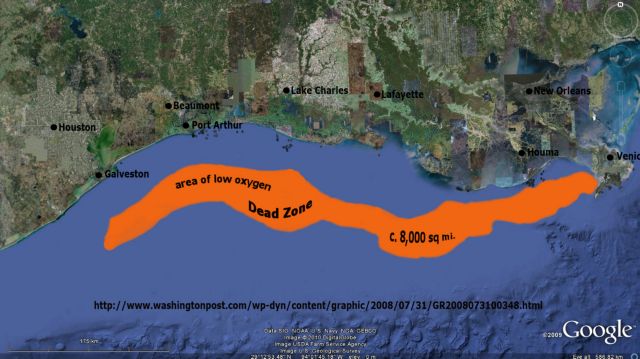 Τεράστια νεκρή ζώνη στον Κόλπο του Μεξικού
