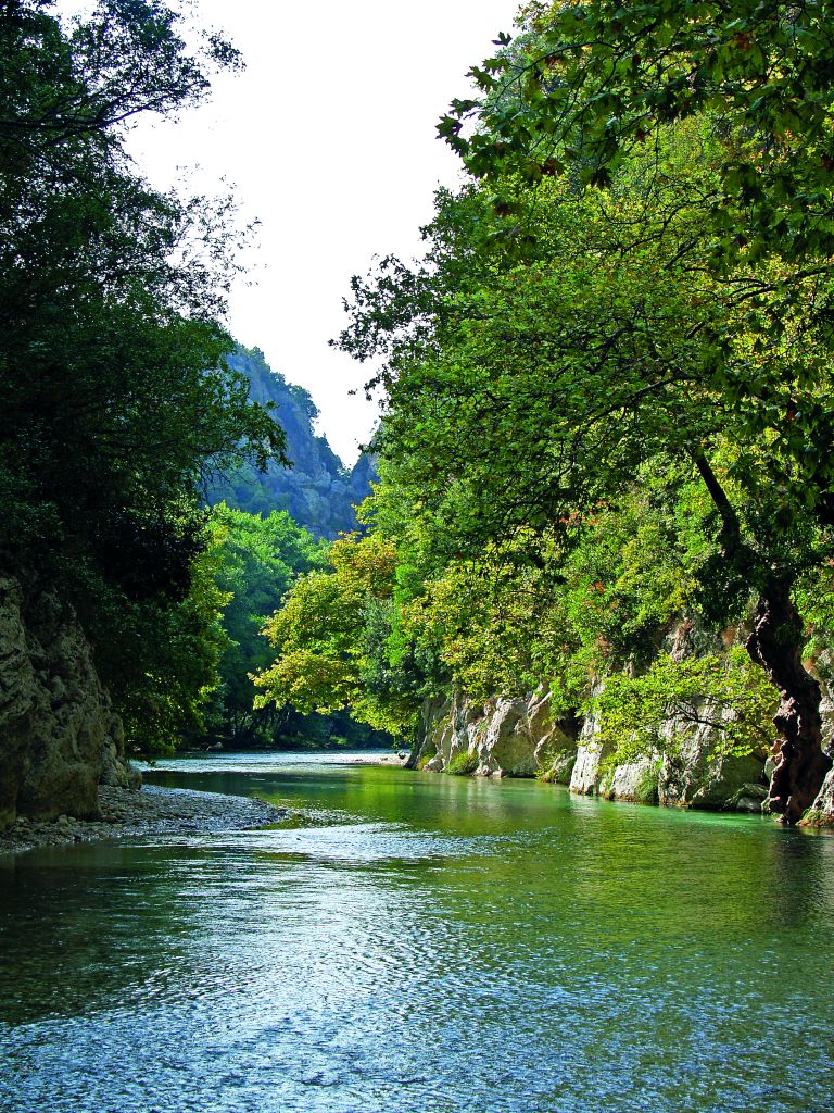 Η ζωή στον Αχέροντα