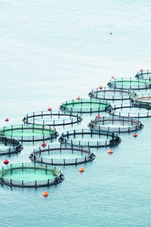 πρόσωπα & νούμερα