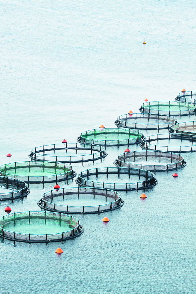 πρόσωπα & νούμερα