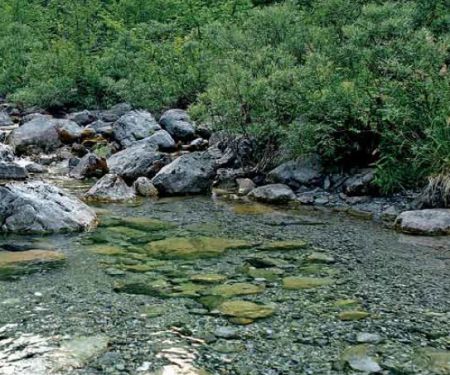 Το άρωμα του βουνού