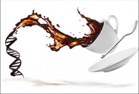 Τα γονίδια που λατρεύουν τον… καφέ