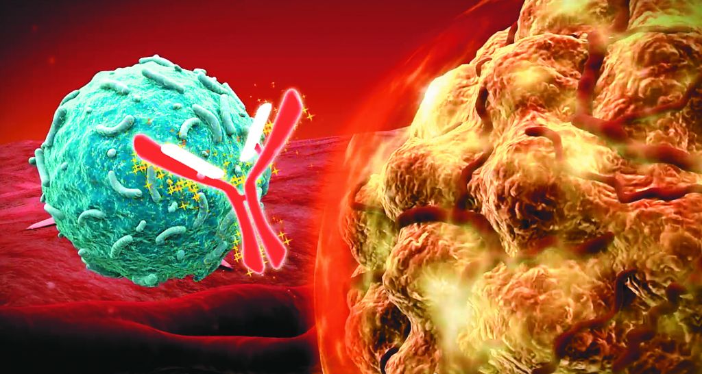 Aνοσοθεραπεία: μαγικό κλειδί κατά του καρκίνου