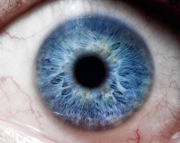 Nέα θεραπεία για την εκφύλιση της ωχράς κηλίδας