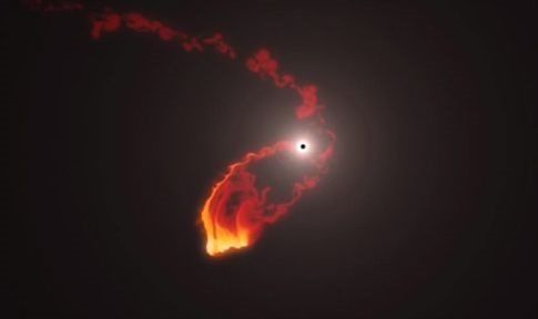 Ακάλεστο άστρο χάλασε το πάρτι της μαύρης τρύπας