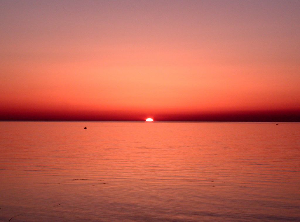 Από το ελπιδοφόρο 2014 στο αγωνιώδες 2015