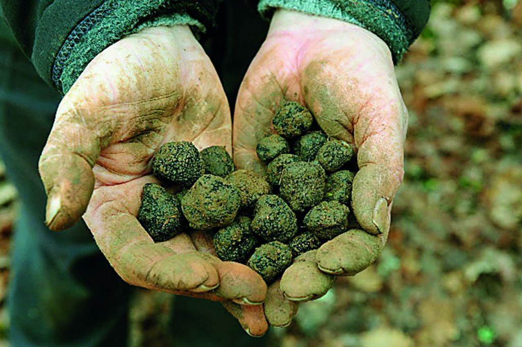 Υπόγειος θησαυρός