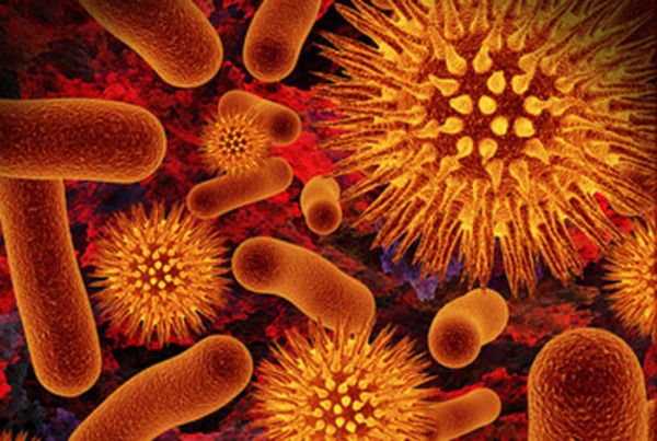 Νέο ισχυρό αντιβιοτικό θα πολεμήσει τα ανθεκτικά βακτήρια