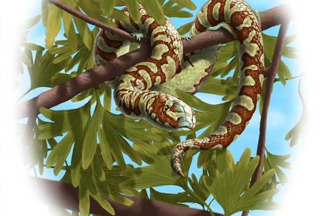 Οι πατριάρχες των φιδιών