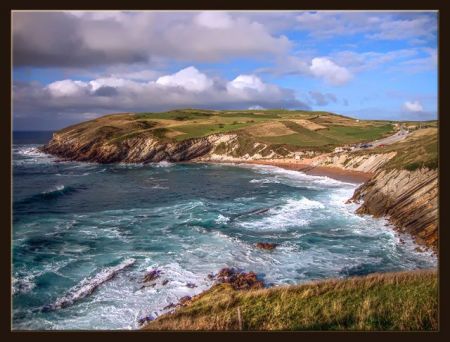 Δέντρα 300 εκ. ετών «αναδύθηκαν» σε ακτή της Ισπανίας