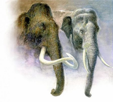 Η νεκρανάσταση των μαμούθ;