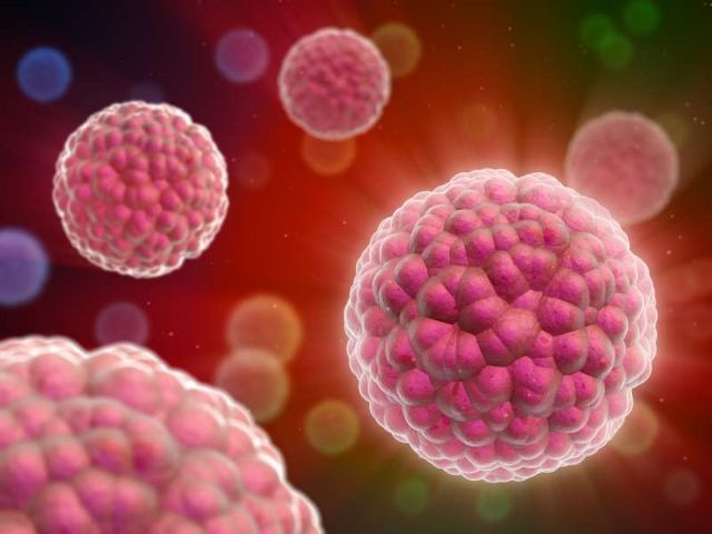 Πρωτεΐνη «υπερ-όπλο» για το ανοσοποιητικό σύστημα