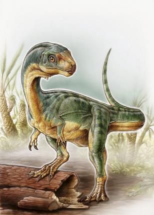 Δεινόσαυρος «παζλ» ζούσε στη Χιλή