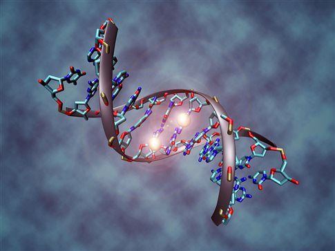 Ενδείξεις μιας έκτης βάσης στη διπλή έλικα του DNA