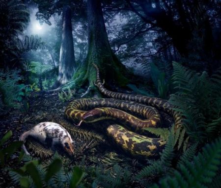 Τα πρώτα φίδια περπατούσαν!