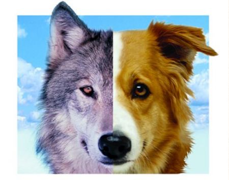 Νέα ληξιαρχική πράξη γέννησης των σκύλων