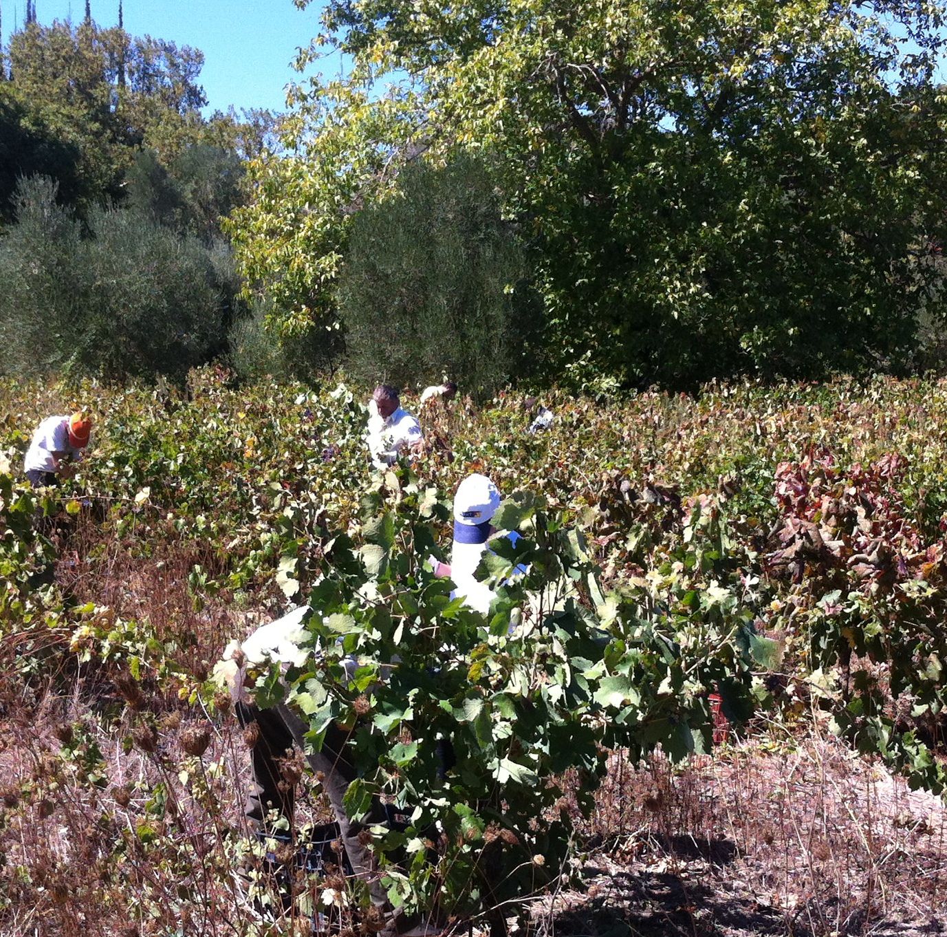 Βαρύς λογαριασμός για την οικονομία