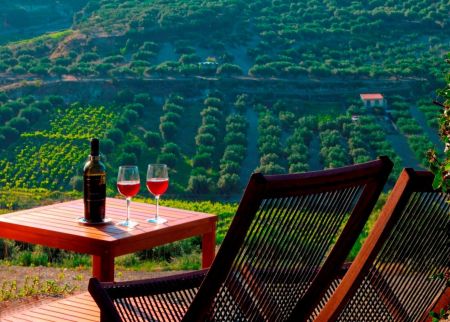 Περιήγηση στα αμπελοτόπια της οινικής ιστορίας μας