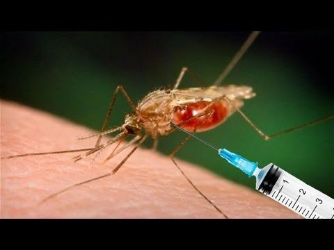 Ευρωπαϊκό «πράσινο φως» στο εμβόλιο της ελονοσίας