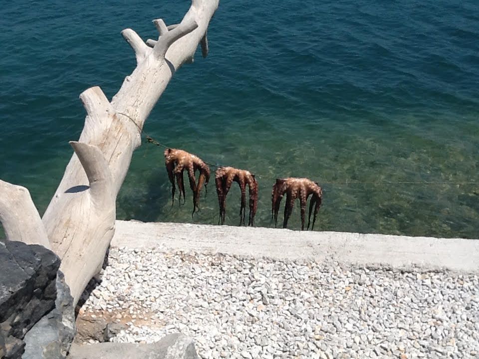 Γεύμα στο Ferryman της Ελούντας