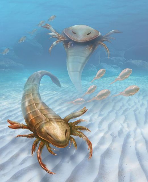 Πανάρχαιος γιγάντιος «σκορπιός»