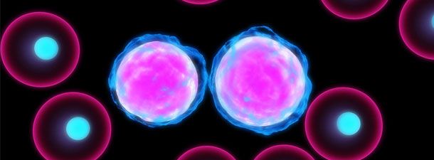 Η πρώτη λευχαιμία