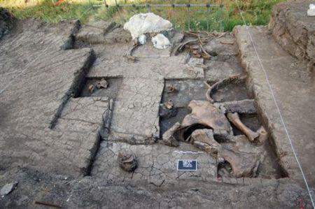 Παλαιολιθικό «σφαγείο ελεφάντων» στο λιγνιτωρυχείο Μεγαλόπολης