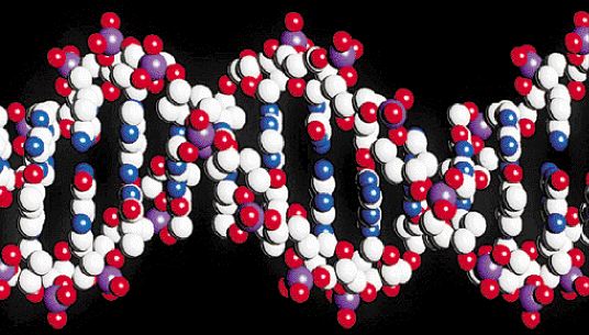 Κεφάλαια-ρεκόρ προσελκύει η παγκόσμια βιομηχανία βιοτεχνολογίας
