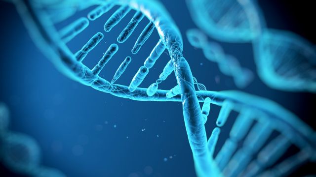 Νoμπέλ Χημείας για τους μηχανισμούς επιδιόρθωσης του DNA