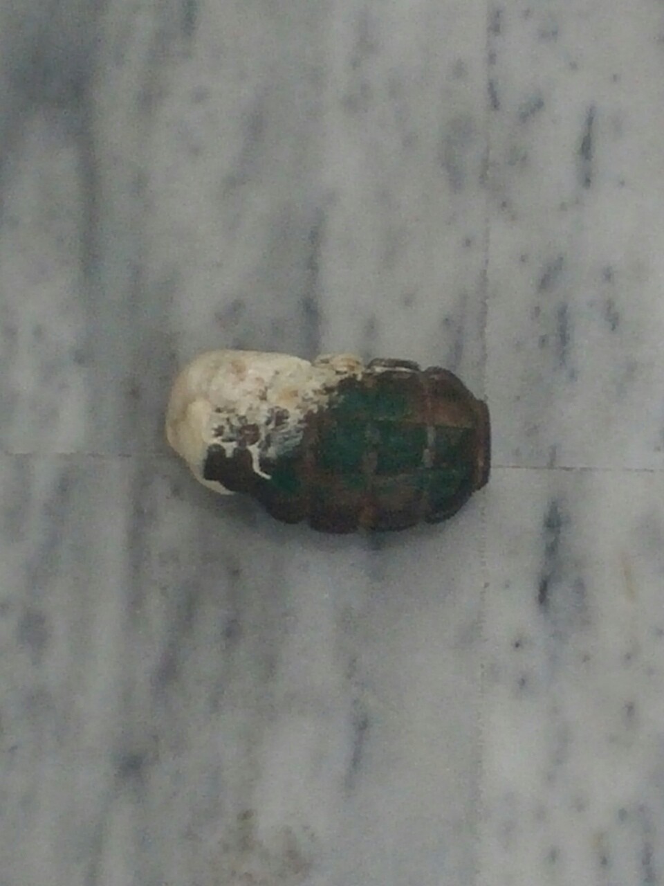 Εληξε ο συναγερμός για τις χειροβομβίδες στο Ειρηνοδικείο