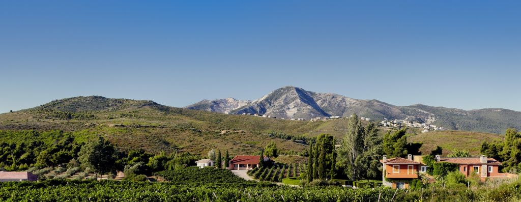 Γιορτή για καλό σκοπό