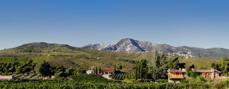 Γιορτή για καλό σκοπό