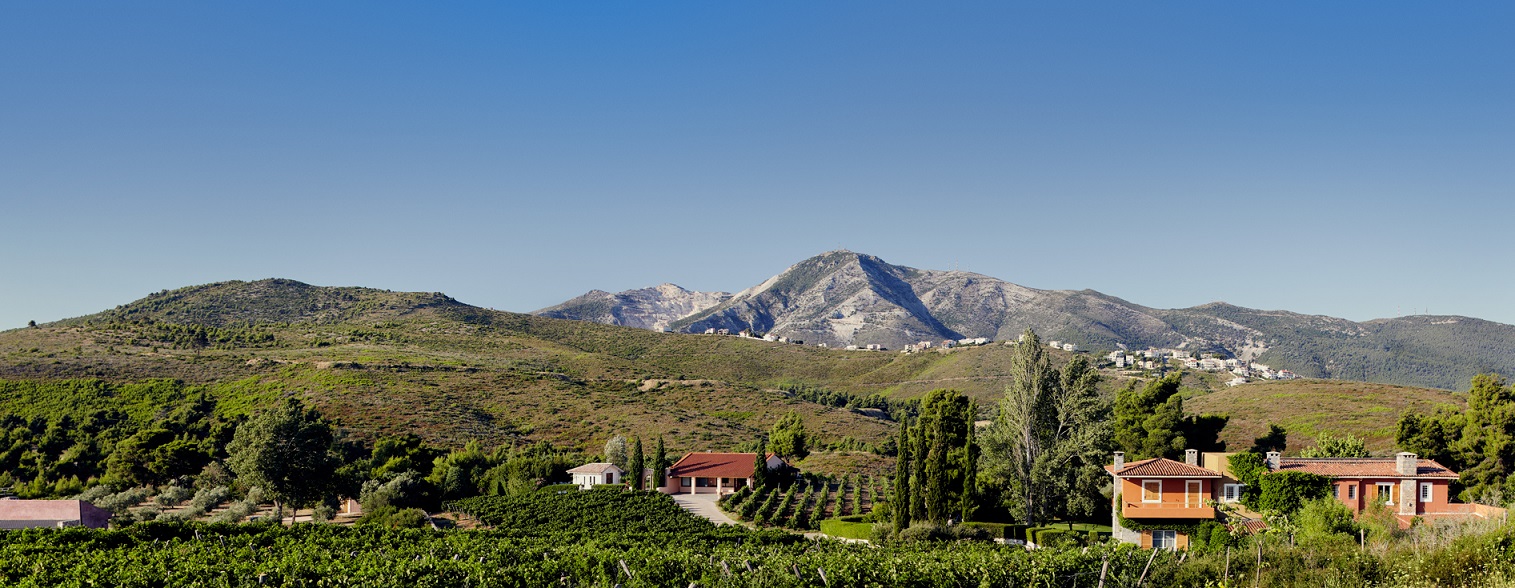 Γιορτή για καλό σκοπό